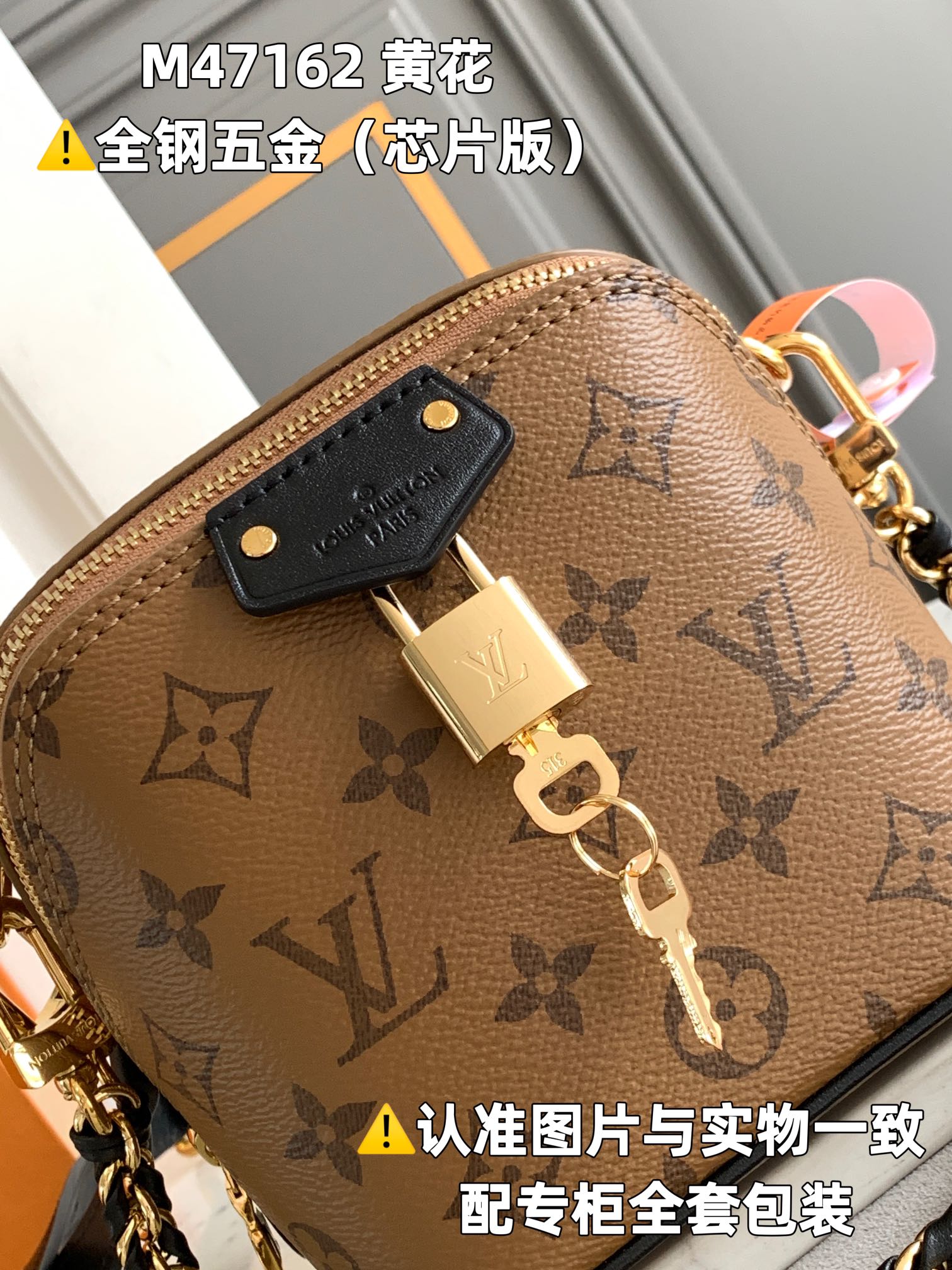 Louis Vuitton Satchel Bags